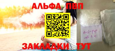 индика Кингисепп