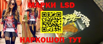 индика Кингисепп