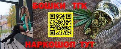 индика Кингисепп