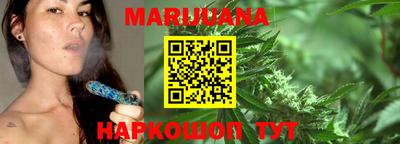 индика Кингисепп