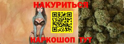 индика Кингисепп