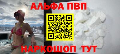 индика Кингисепп