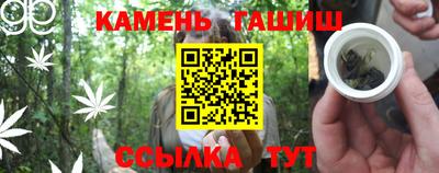 индика Кингисепп