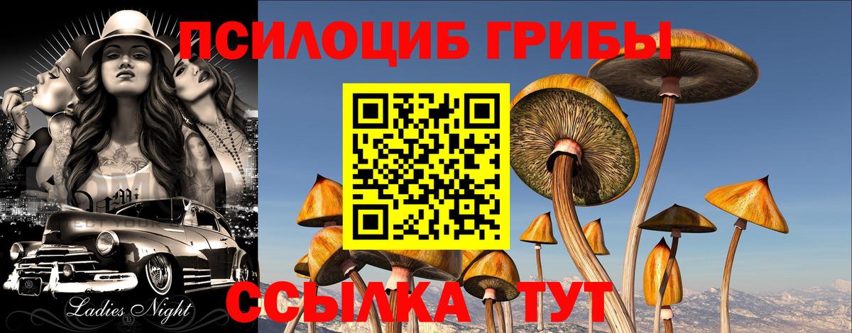 Псилоцибиновые грибы Magic Shrooms Кудымкар